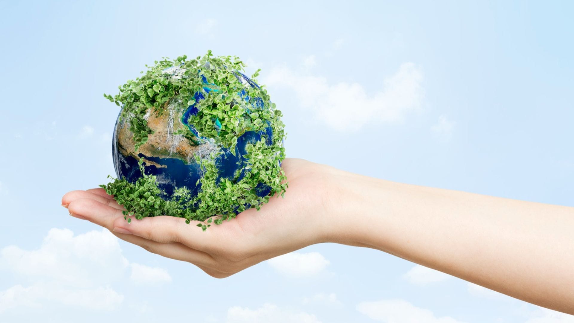 ESG rapport vb&t 2025